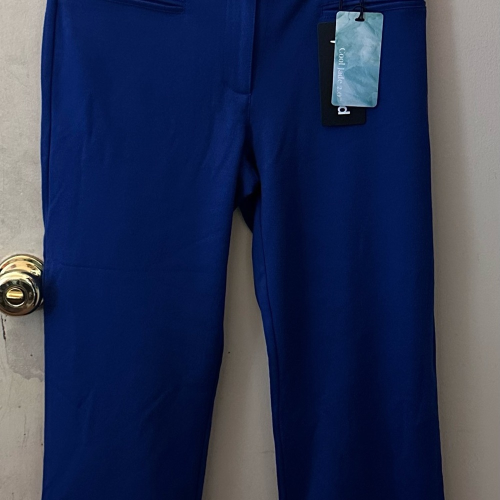 Betabrand Blue Ankle Pants